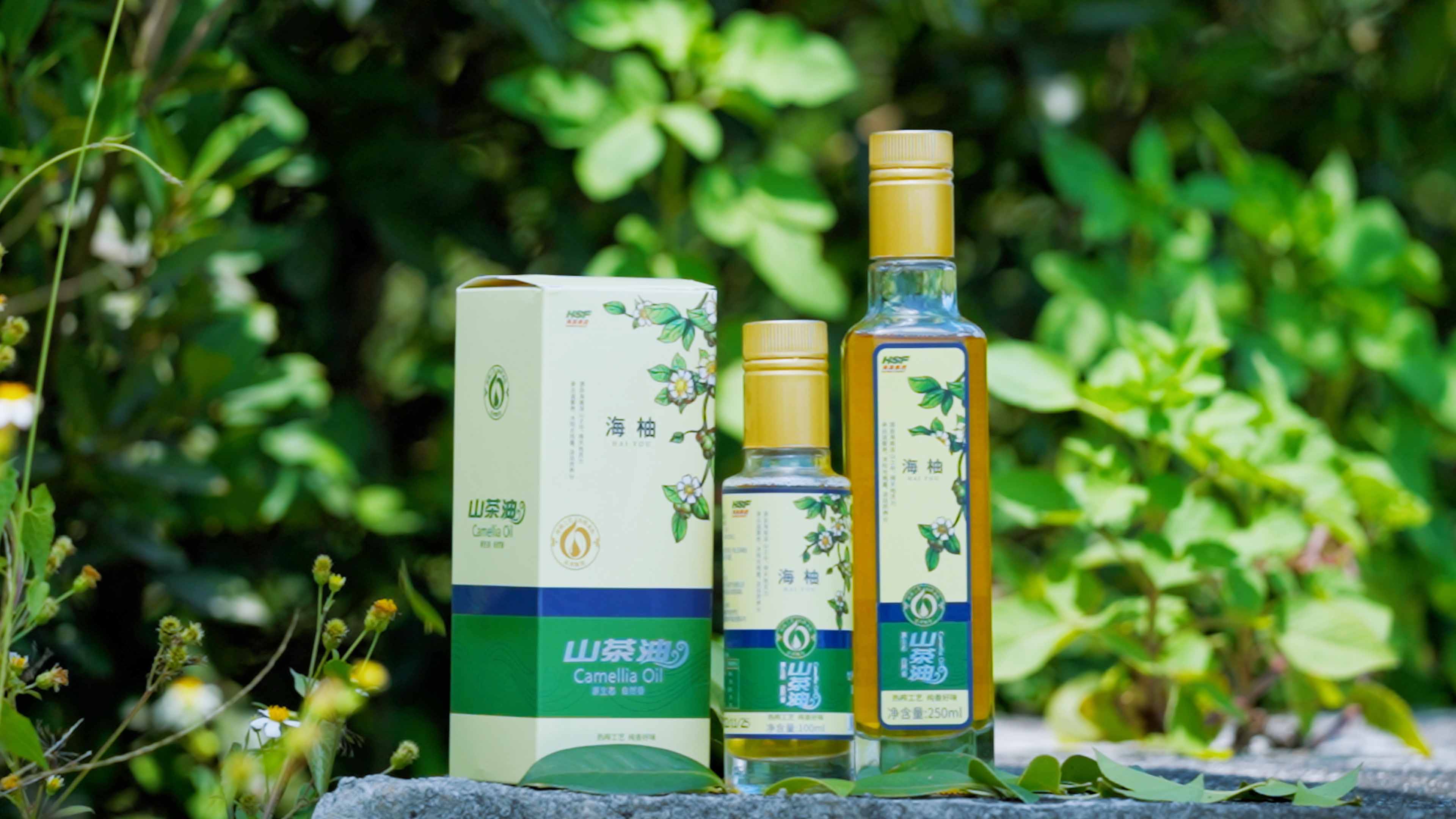 F66永乐乐香山茶油