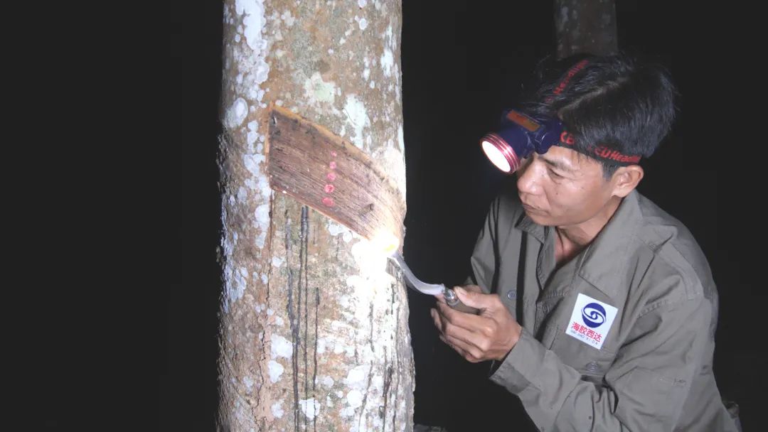 22d8baecb09a41a6a37b7678e85ad744