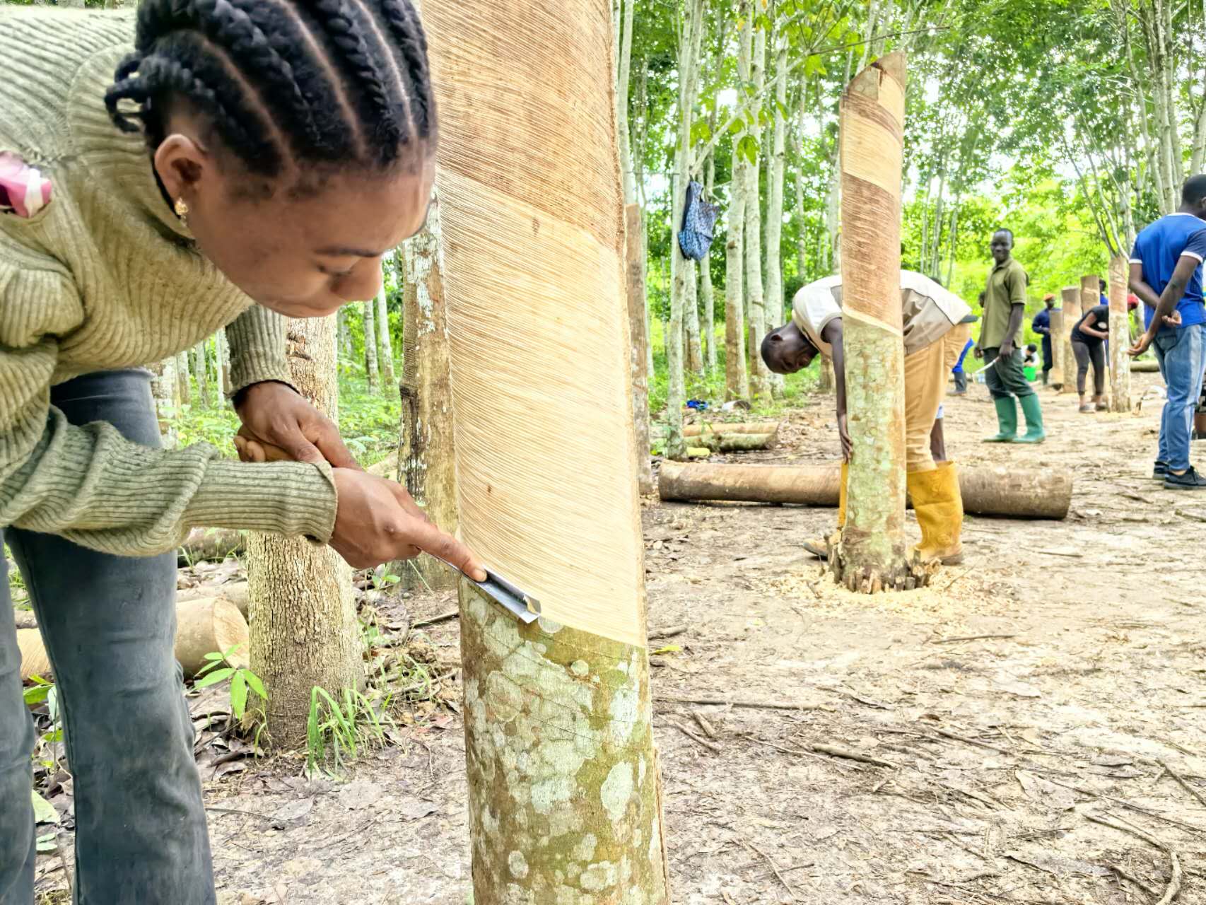 88339c8db09a44a2b64f9edea4af8ecc