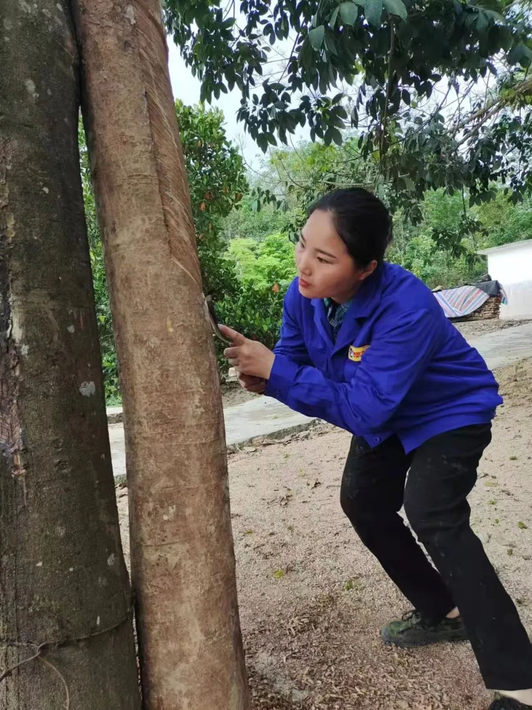 d708b2ed223f4ec69f09425602673cde