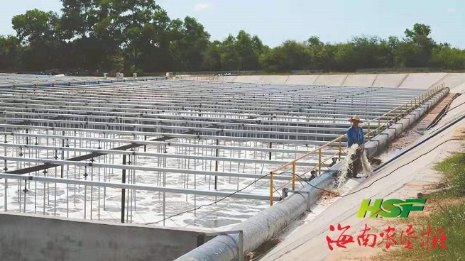 首页- F66永乐国际集团官方网站