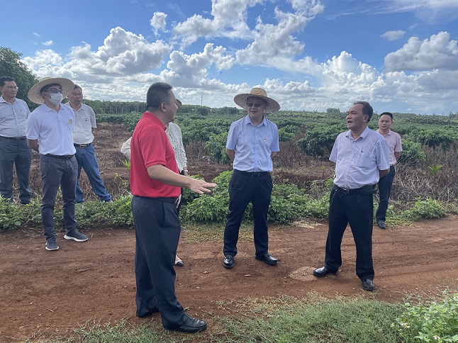 首页- F66永乐国际集团官方网站