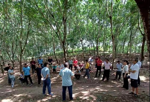 首页- F66永乐国际集团官方网站