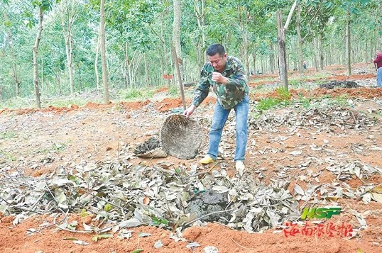 首页- F66永乐国际集团官方网站