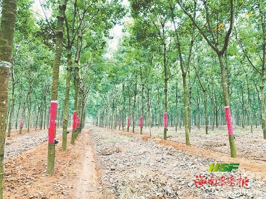 首页- F66永乐国际集团官方网站