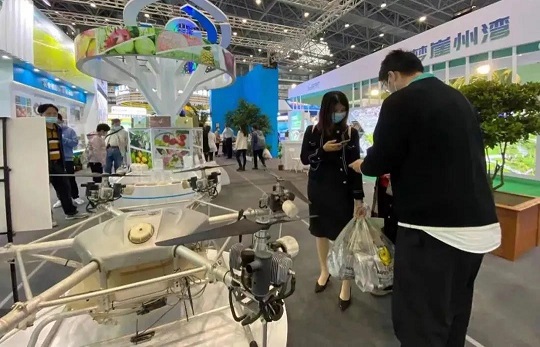 首页- F66永乐国际集团官方网站