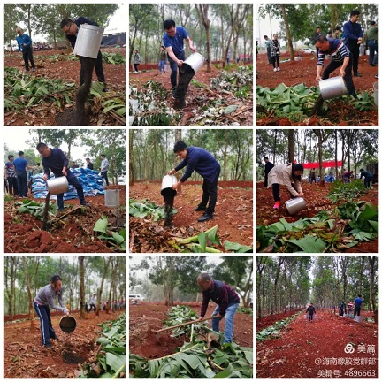 首页- F66永乐国际集团官方网站