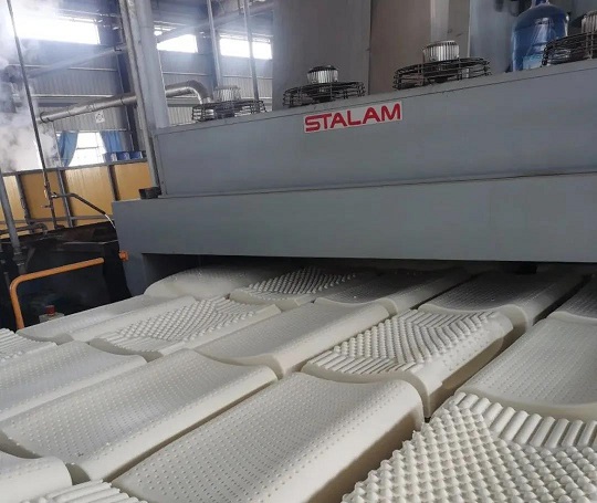 首页- F66永乐国际集团官方网站