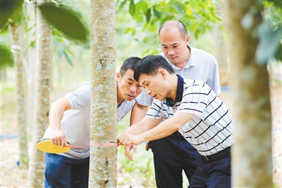 首页- F66永乐国际集团官方网站