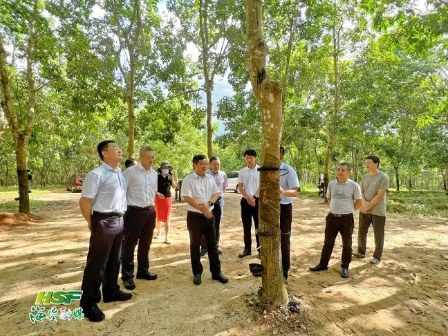 首页- F66永乐国际集团官方网站