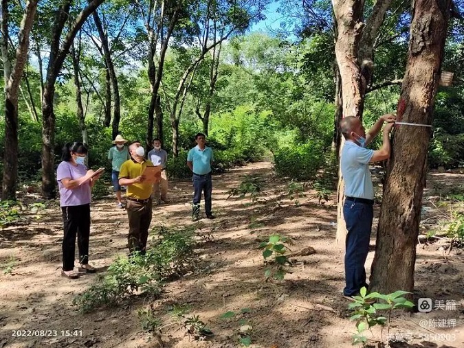 首页- F66永乐国际集团官方网站