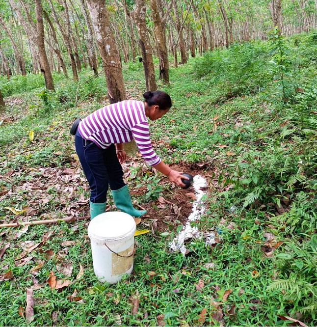 首页- F66永乐国际集团官方网站