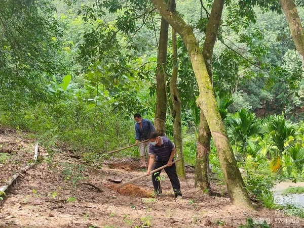 首页- F66永乐国际集团官方网站