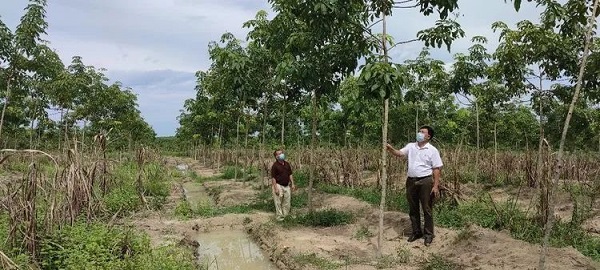 首页- F66永乐国际集团官方网站