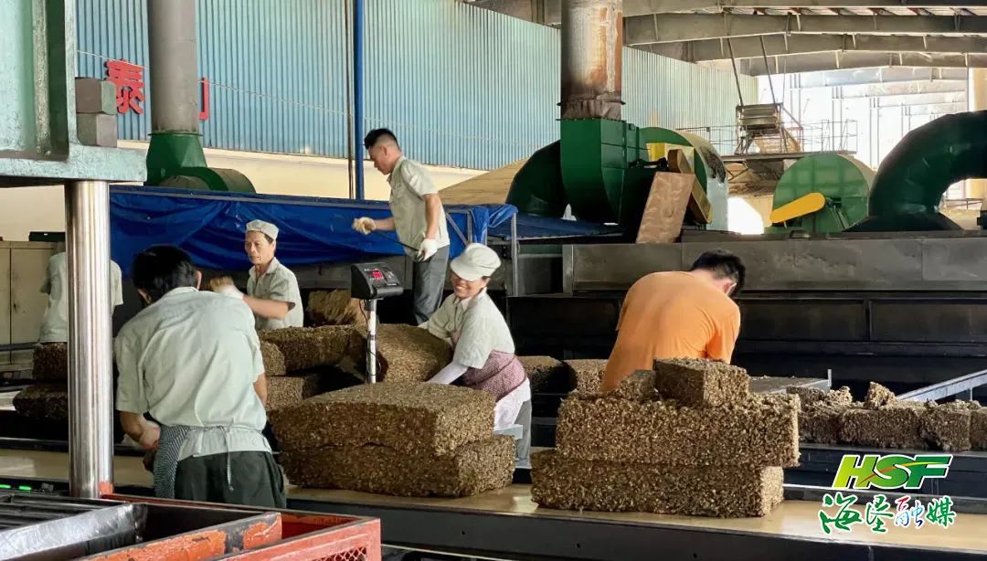 首页- F66永乐国际集团官方网站