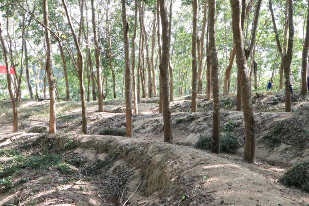 首页- F66永乐国际集团官方网站