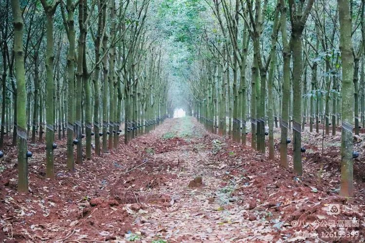 首页- F66永乐国际集团官方网站