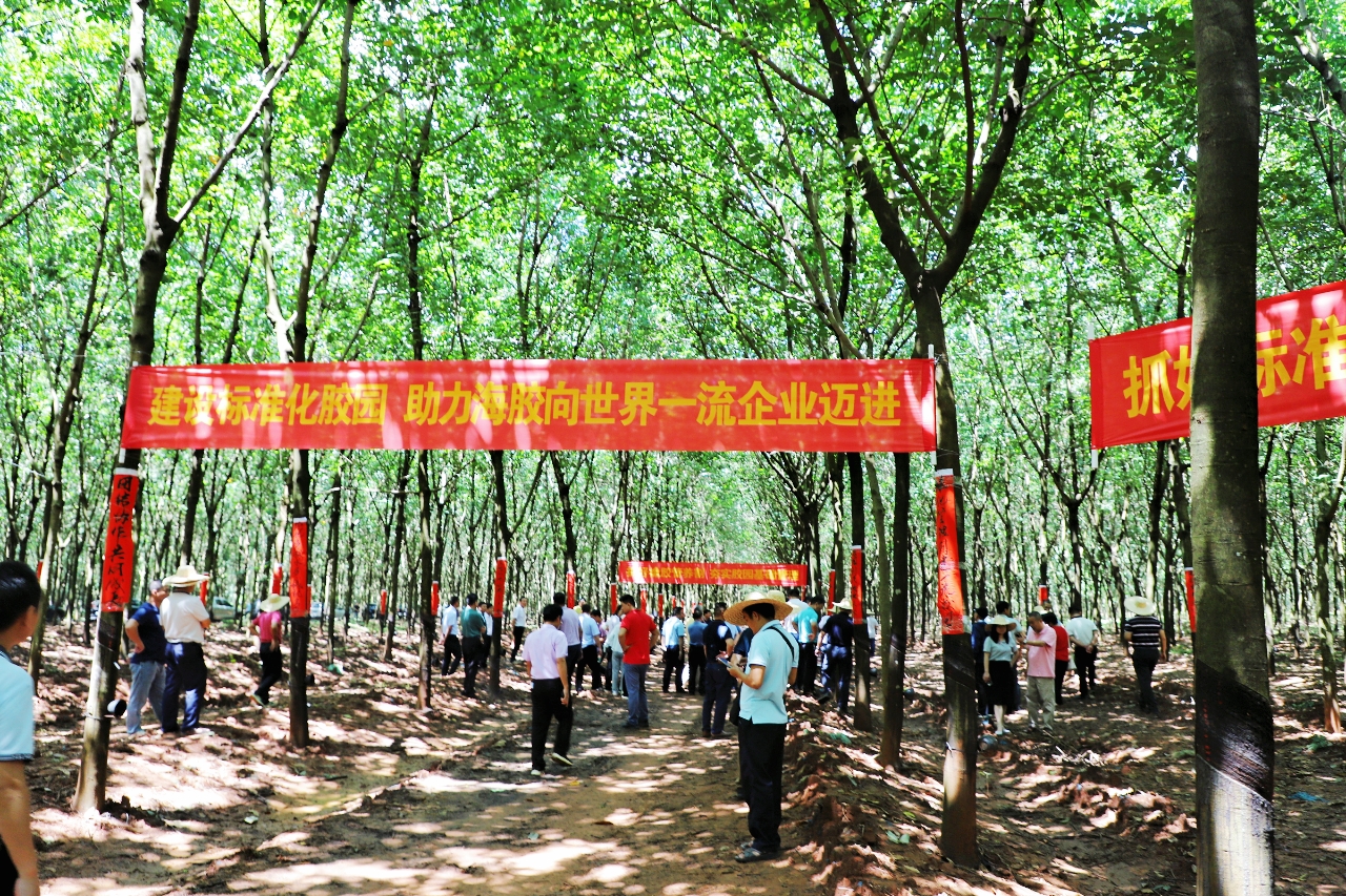 首页- F66永乐国际集团官方网站